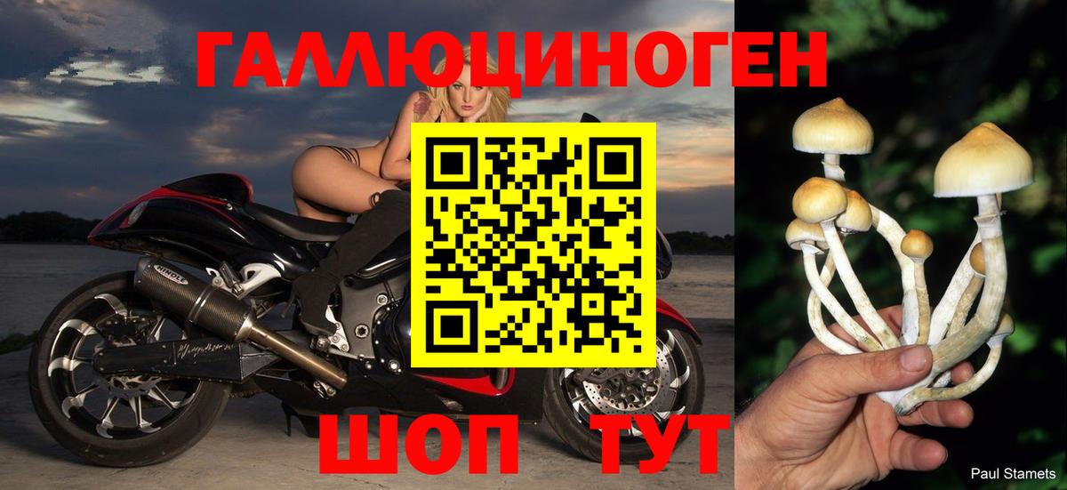 Галлюциногенные грибы мухоморы Лосино-Петровский